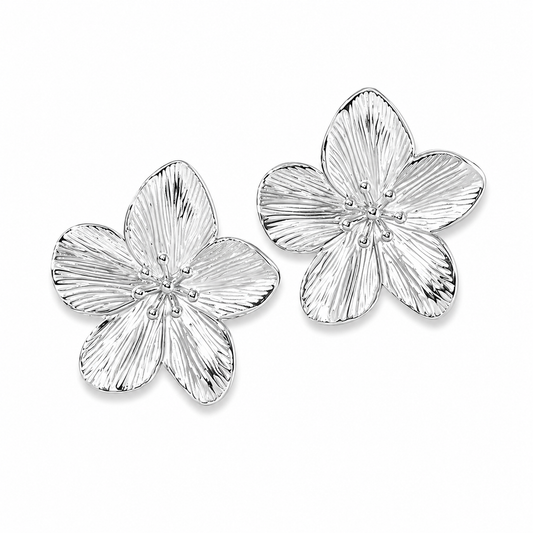 Amapola S Pantallas